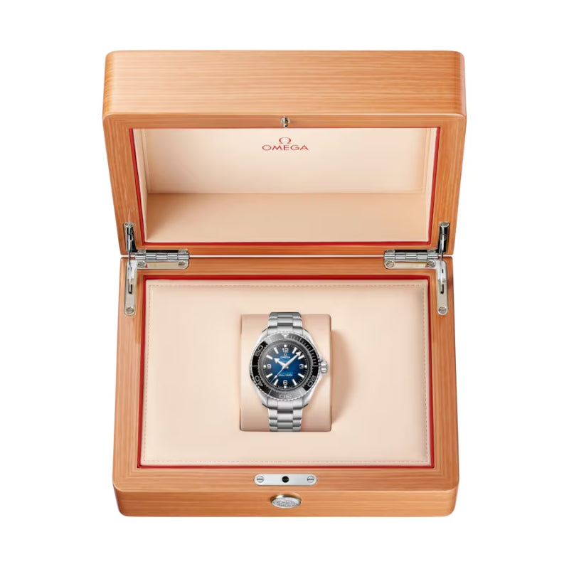 Omega Planet Ocean 6000M Watch
