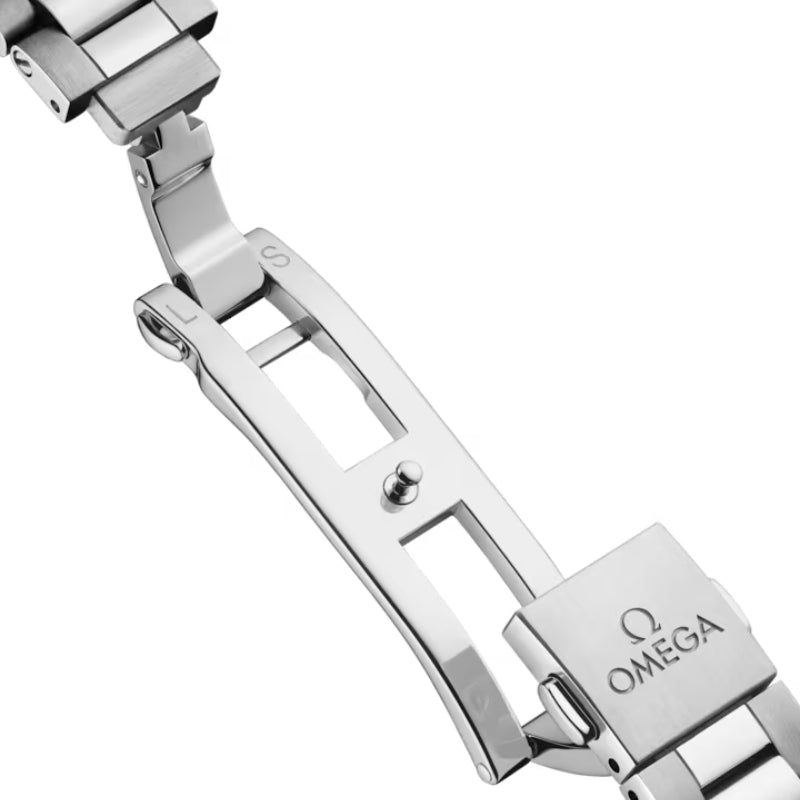 Omega Aqua Terra 150M Watch